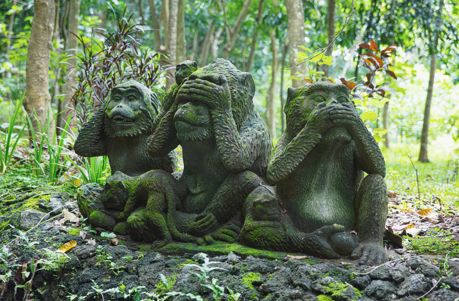 Ubud Jungle and Monkey Forest
