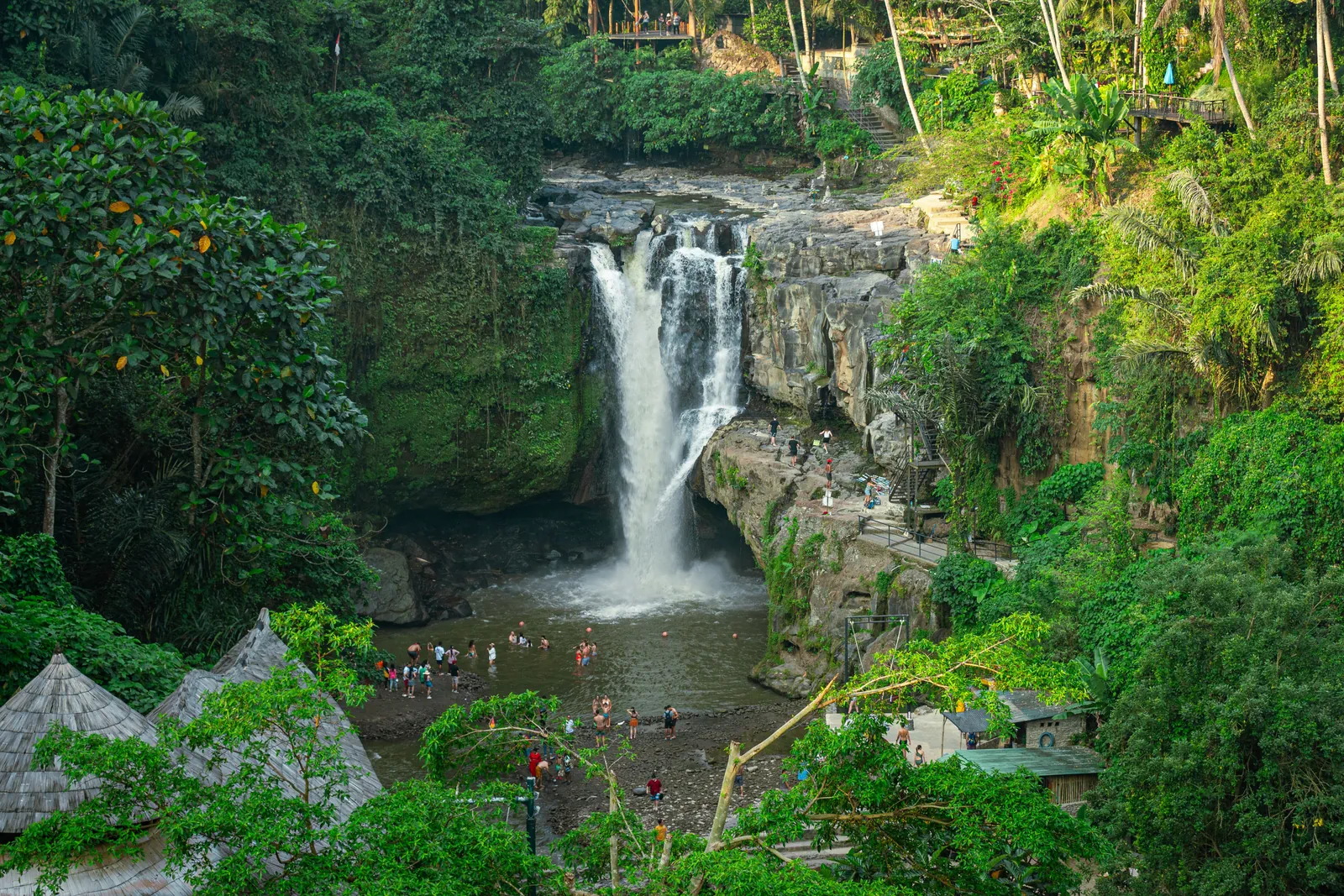 Ubud Waterfalls and Jungle