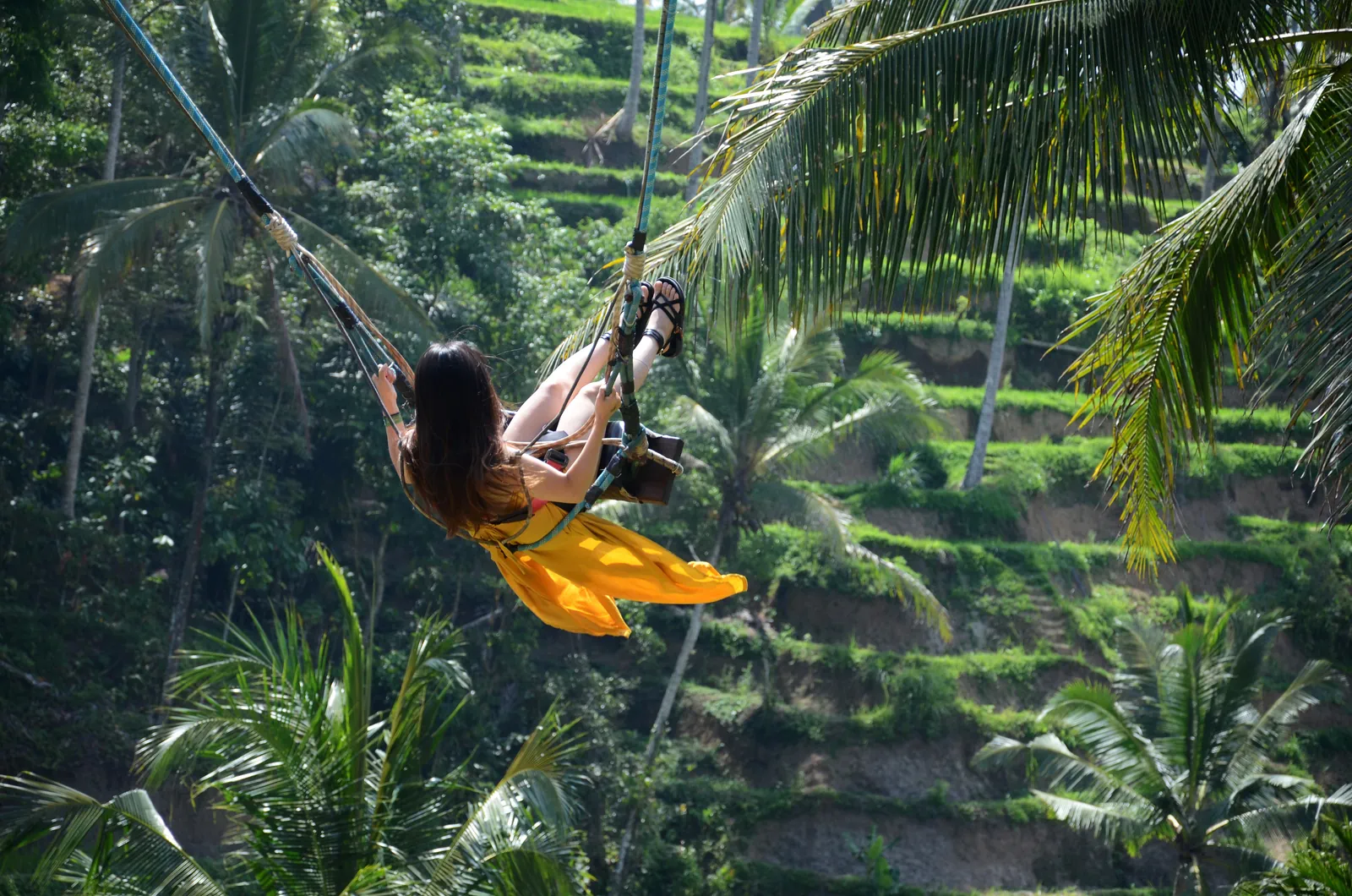 Arrival in Bali and Ubud