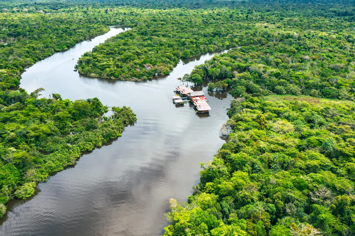 Brazil and Amazon Experience Overview