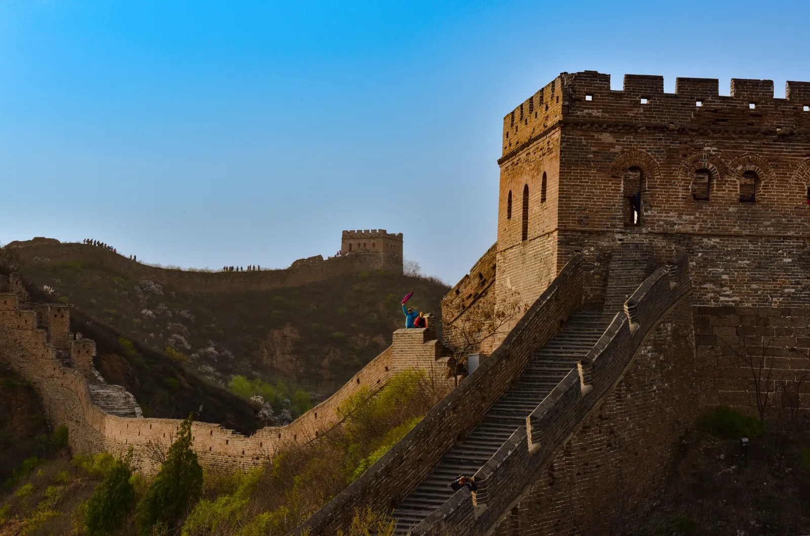 Great Wall, Olympic Park & Market Visit