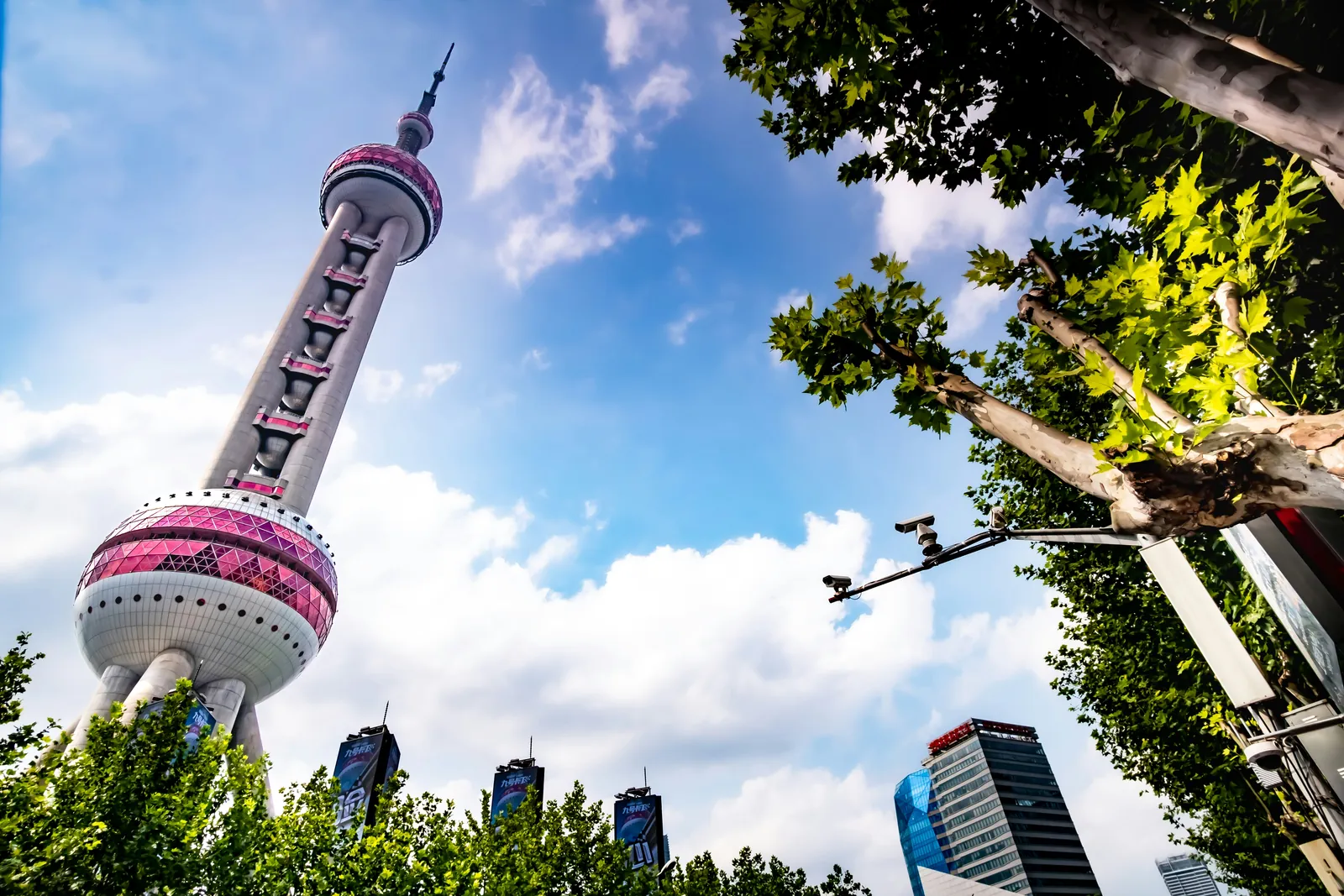 Oriental Pearl Tower & Shanghai City Highlights