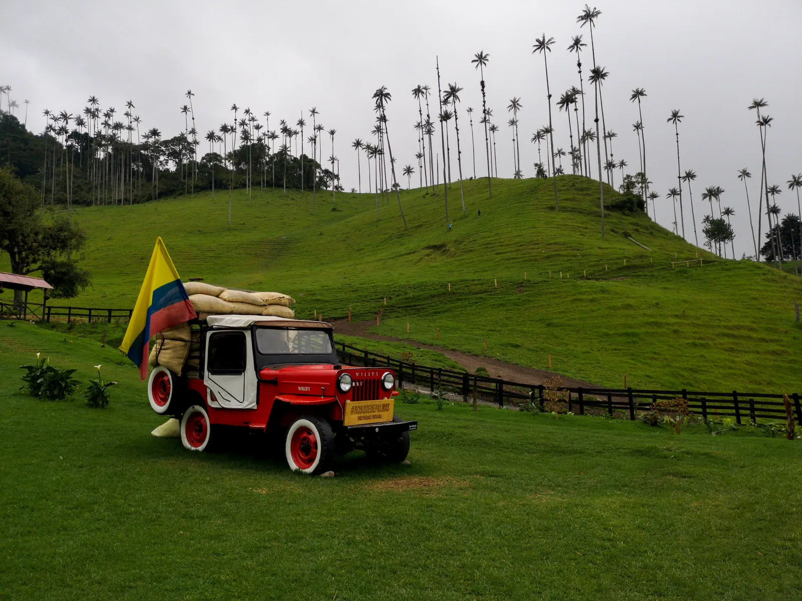 Colombia Coffee and Caribbean Escape