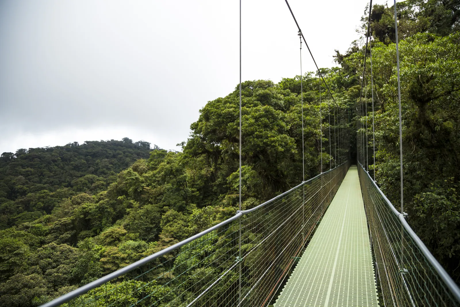 Arenal Hanging Bridges & Hot Springs