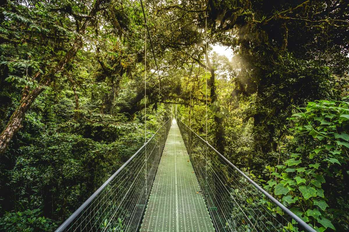 Costa Rica Highlights