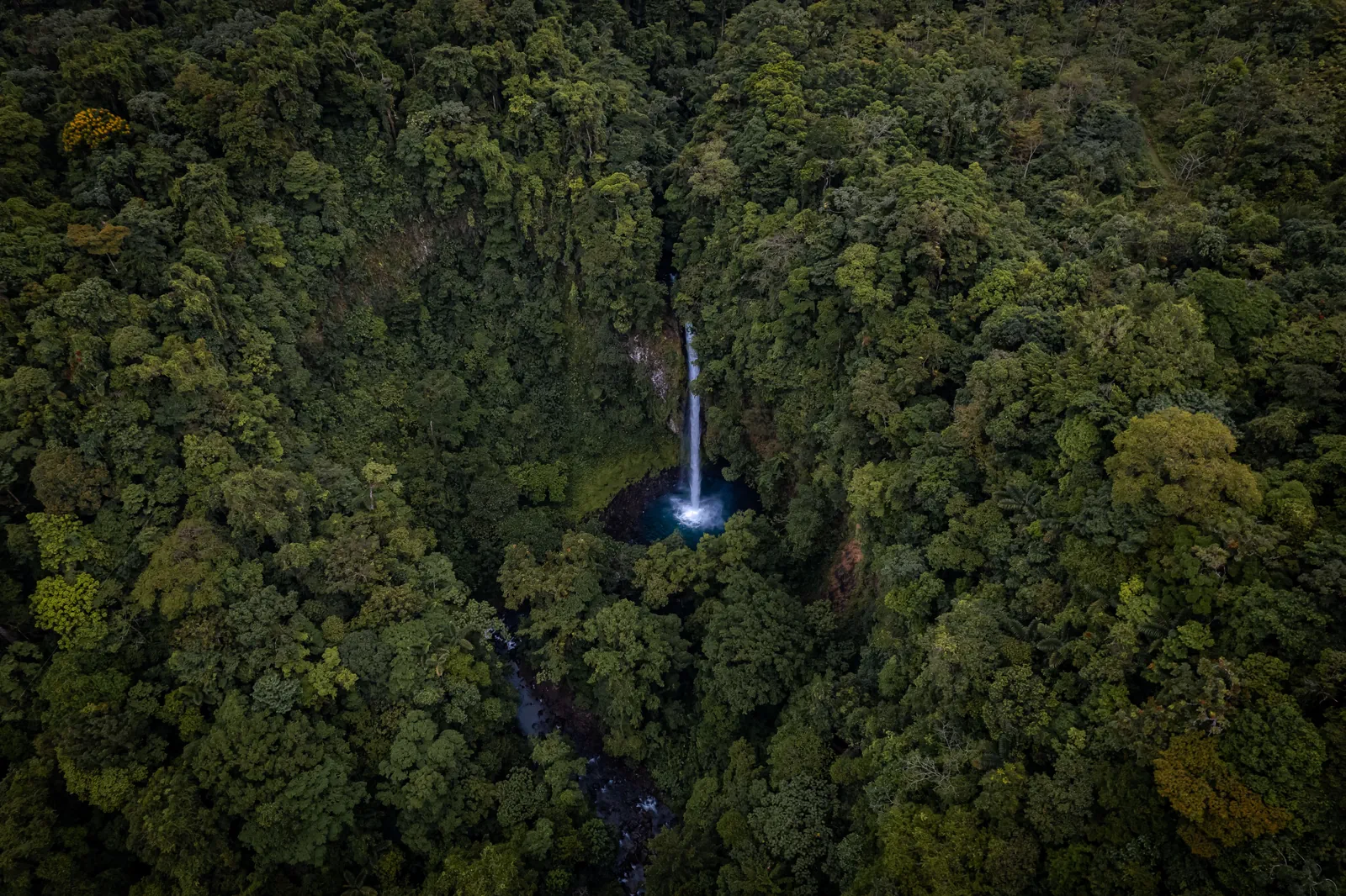 La Fortuna Waterfall & Arenal Nature