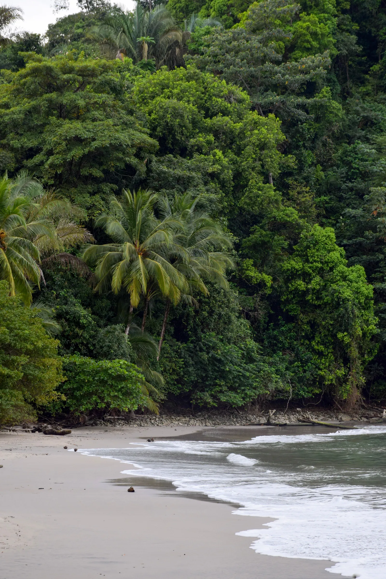 Monteverde to Manuel Antonio
