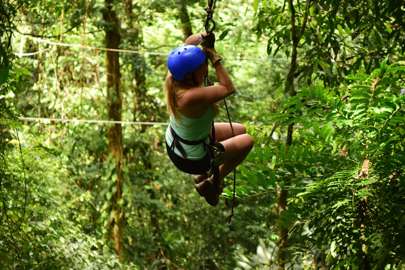 Monteverde Cloud Forest & Optional Zipline