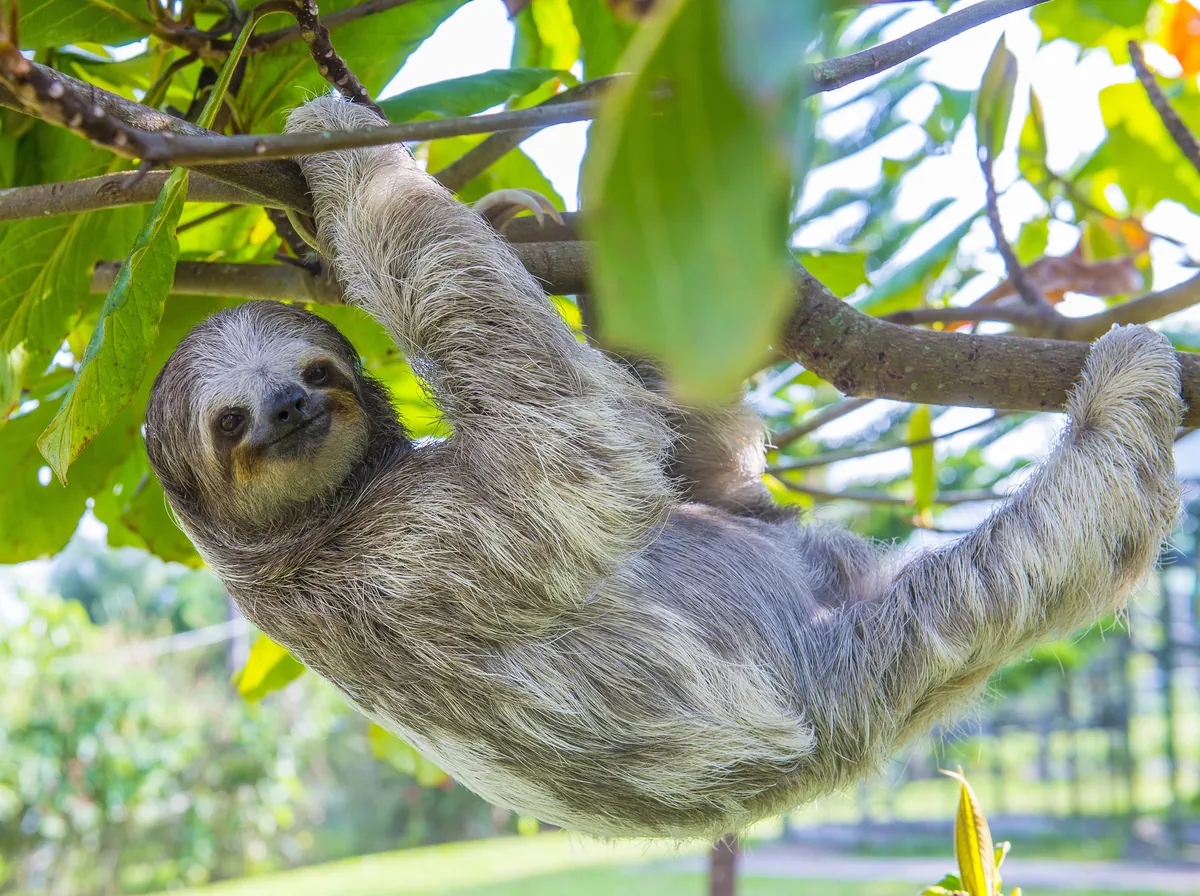 Wild Luxury Costa Rica