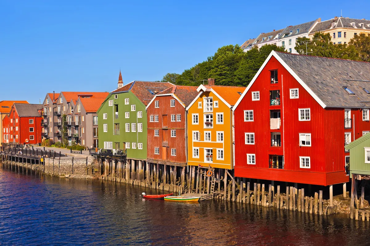 Nordic Elegance