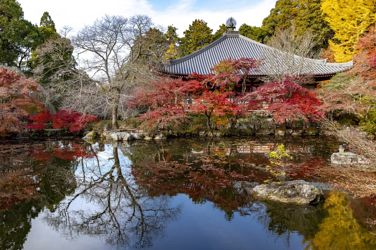 Japan Alps & Cultural Heritage