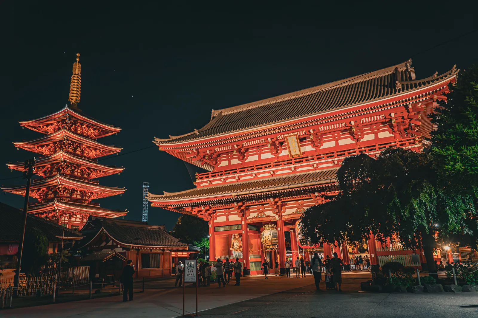 Arrival in Tokyo