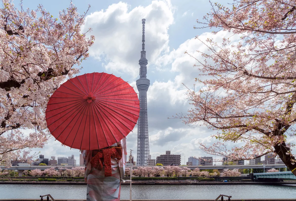 Classic Japan Discovery
