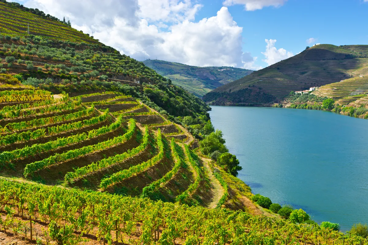 Douro Valley or Porto Leisure