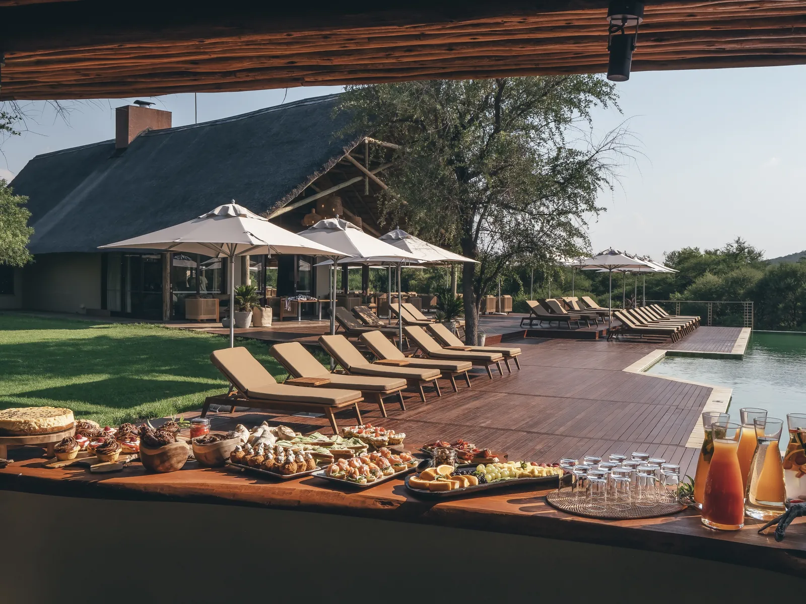 Letamo at Qwabi Game Reserve