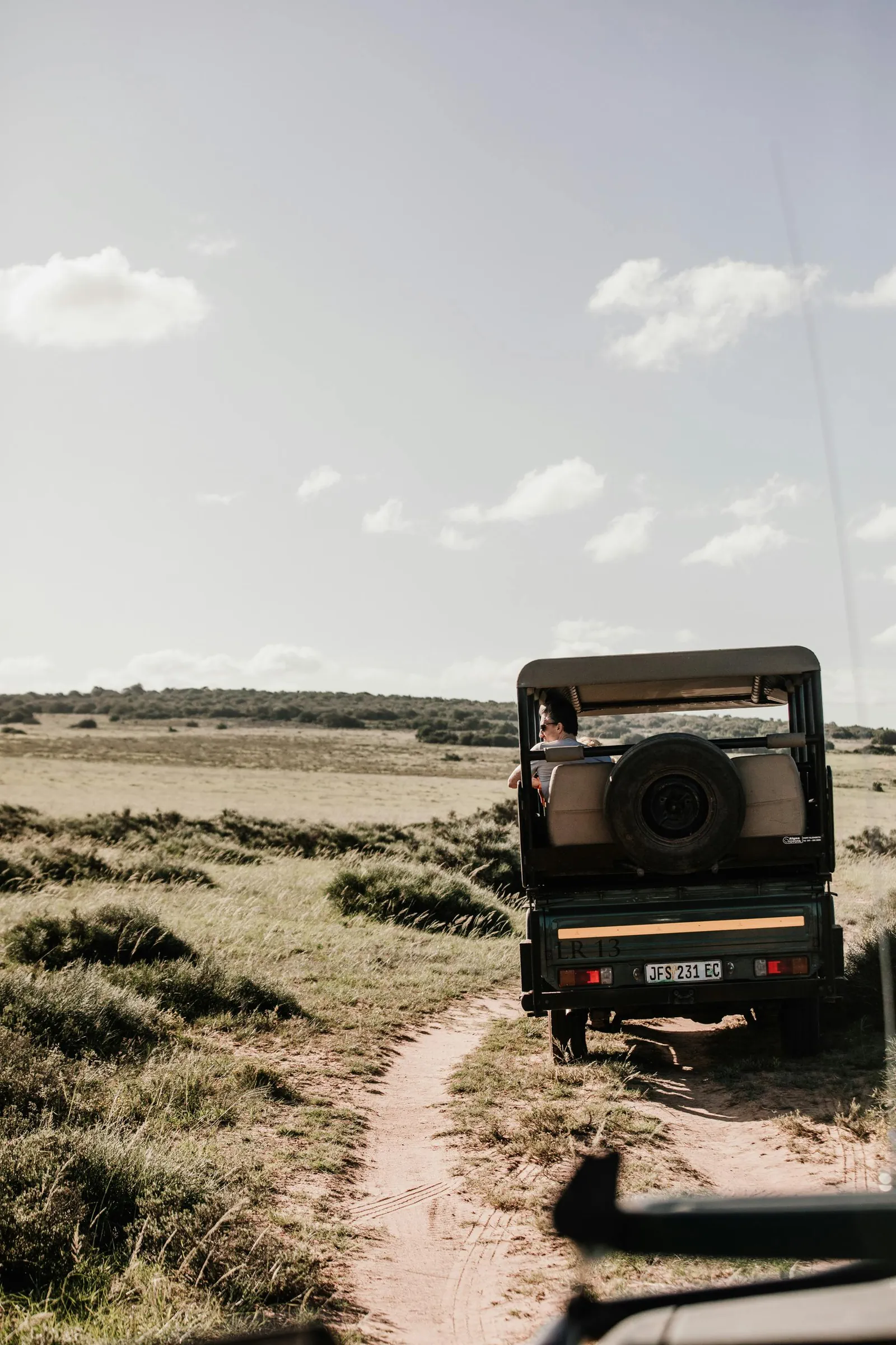 Game drive safari South Africa