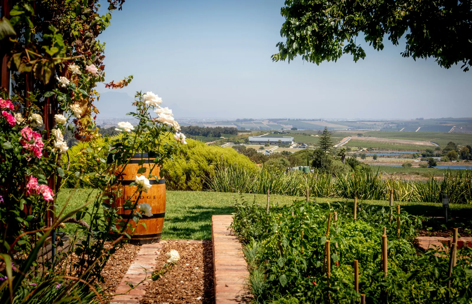 Cape Winelands travel planning