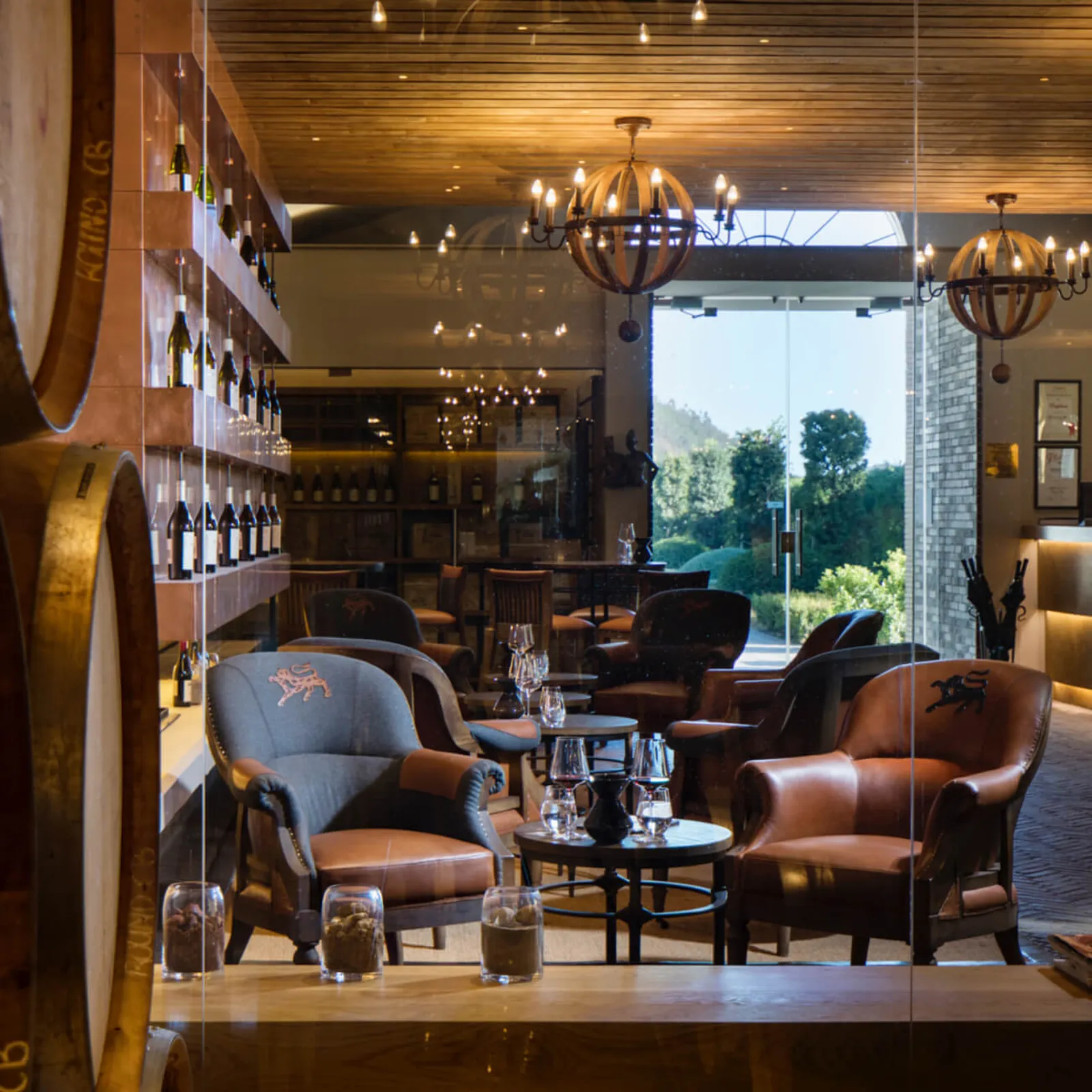 Cape Winelands vineyards