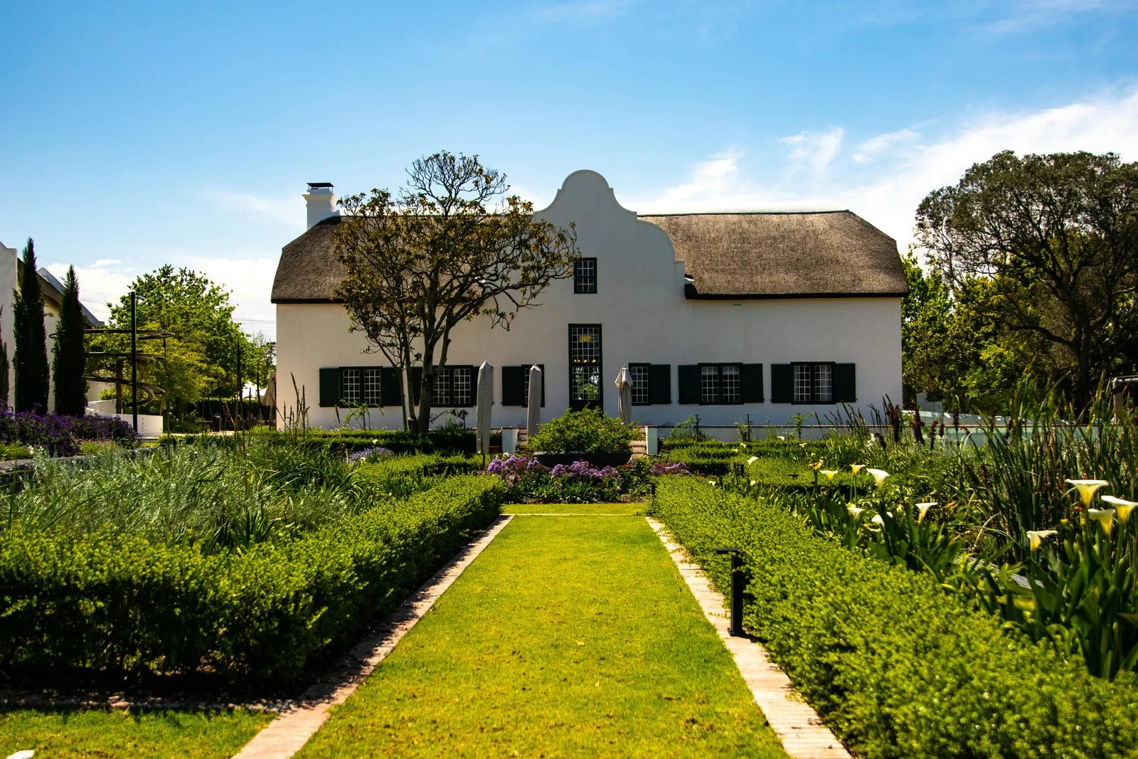 Cape Winelands estate