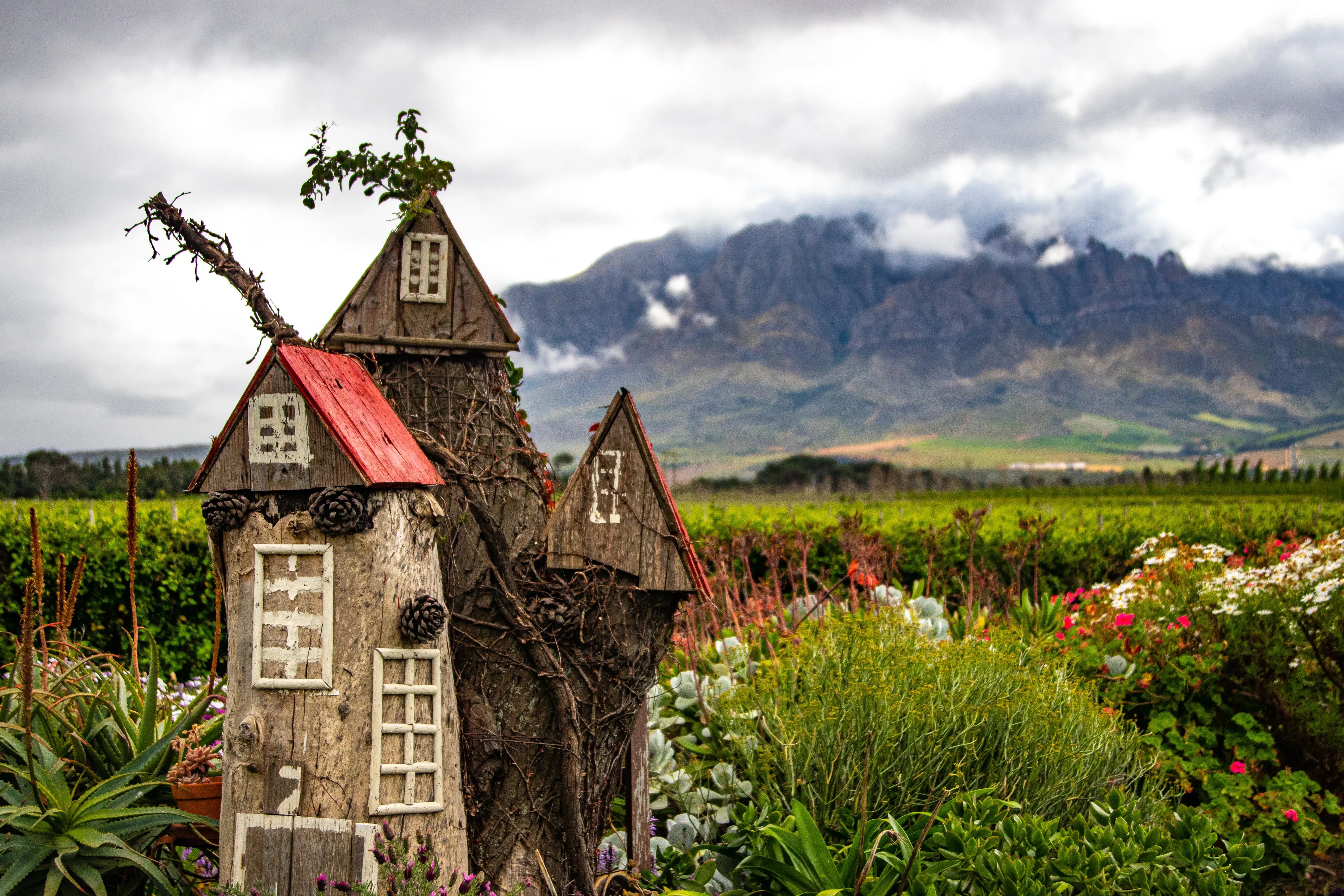 Cape Winelands travel experience