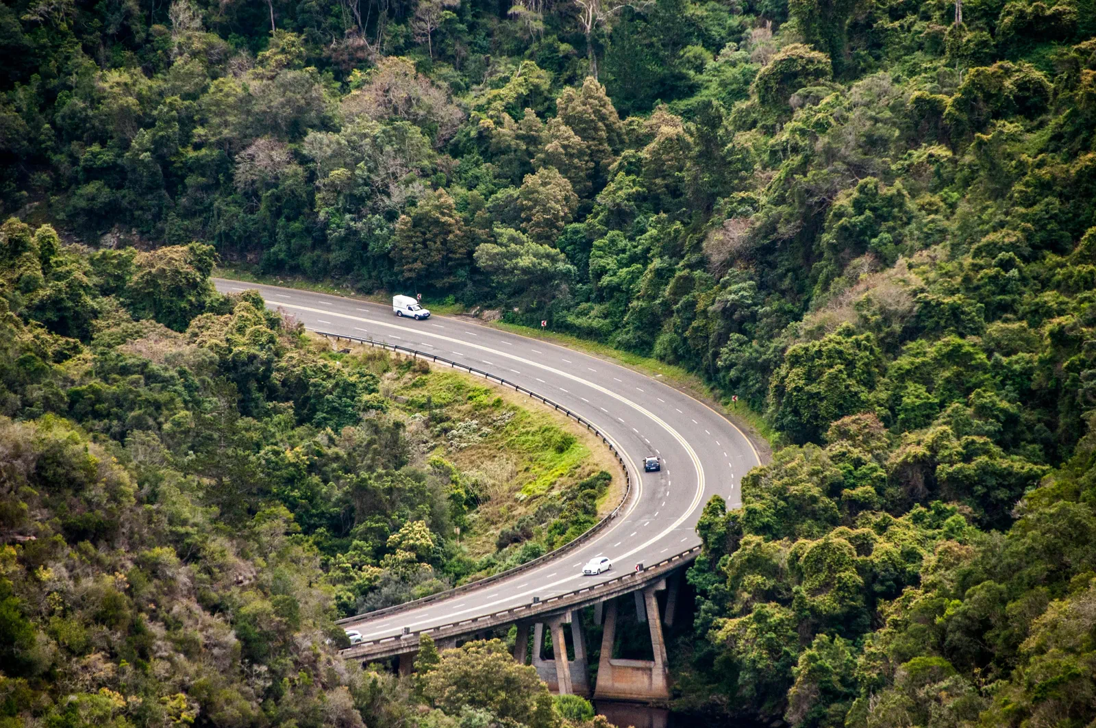 Garden Route gallery