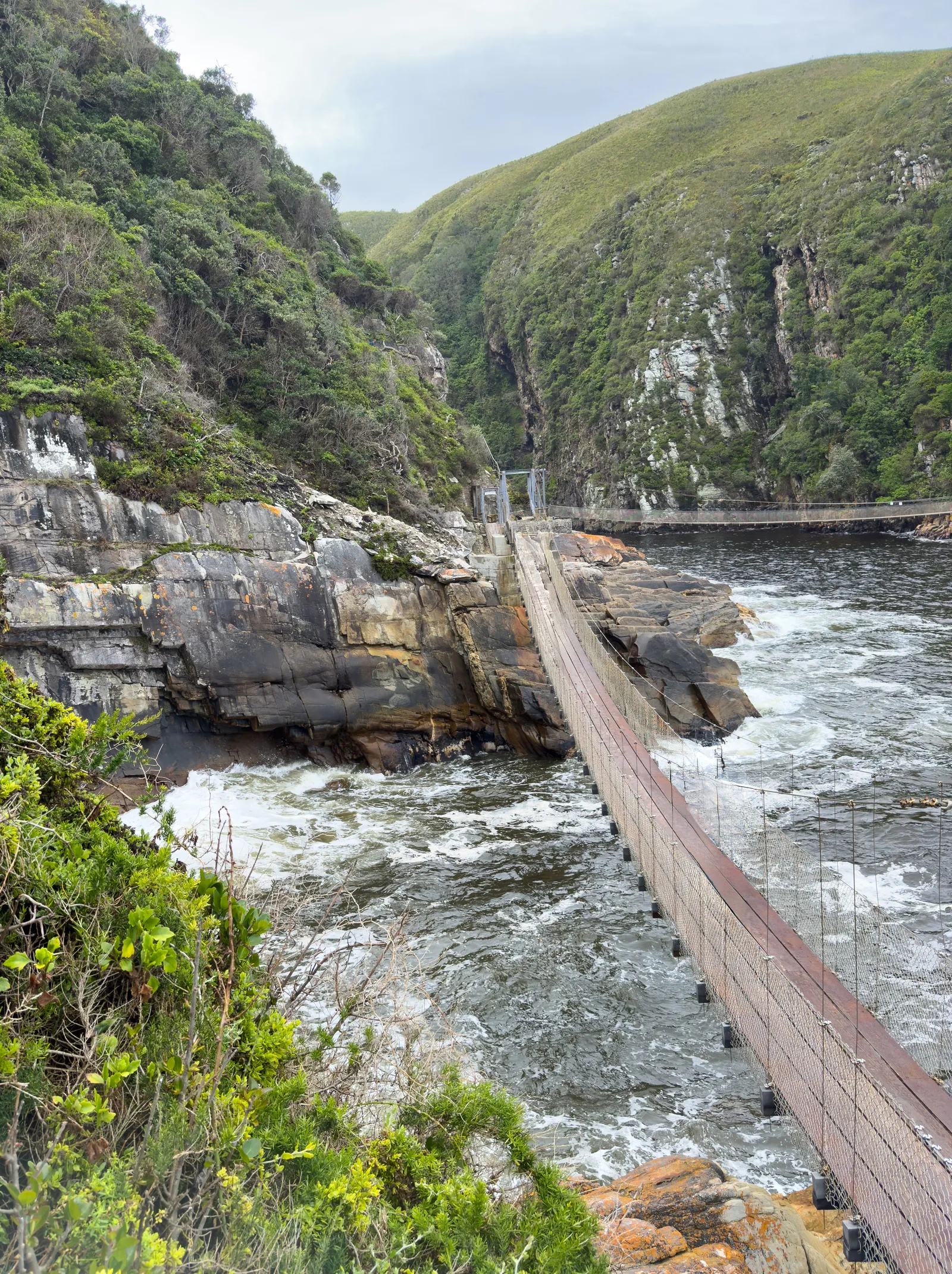 Tsitsikamma Garden Route