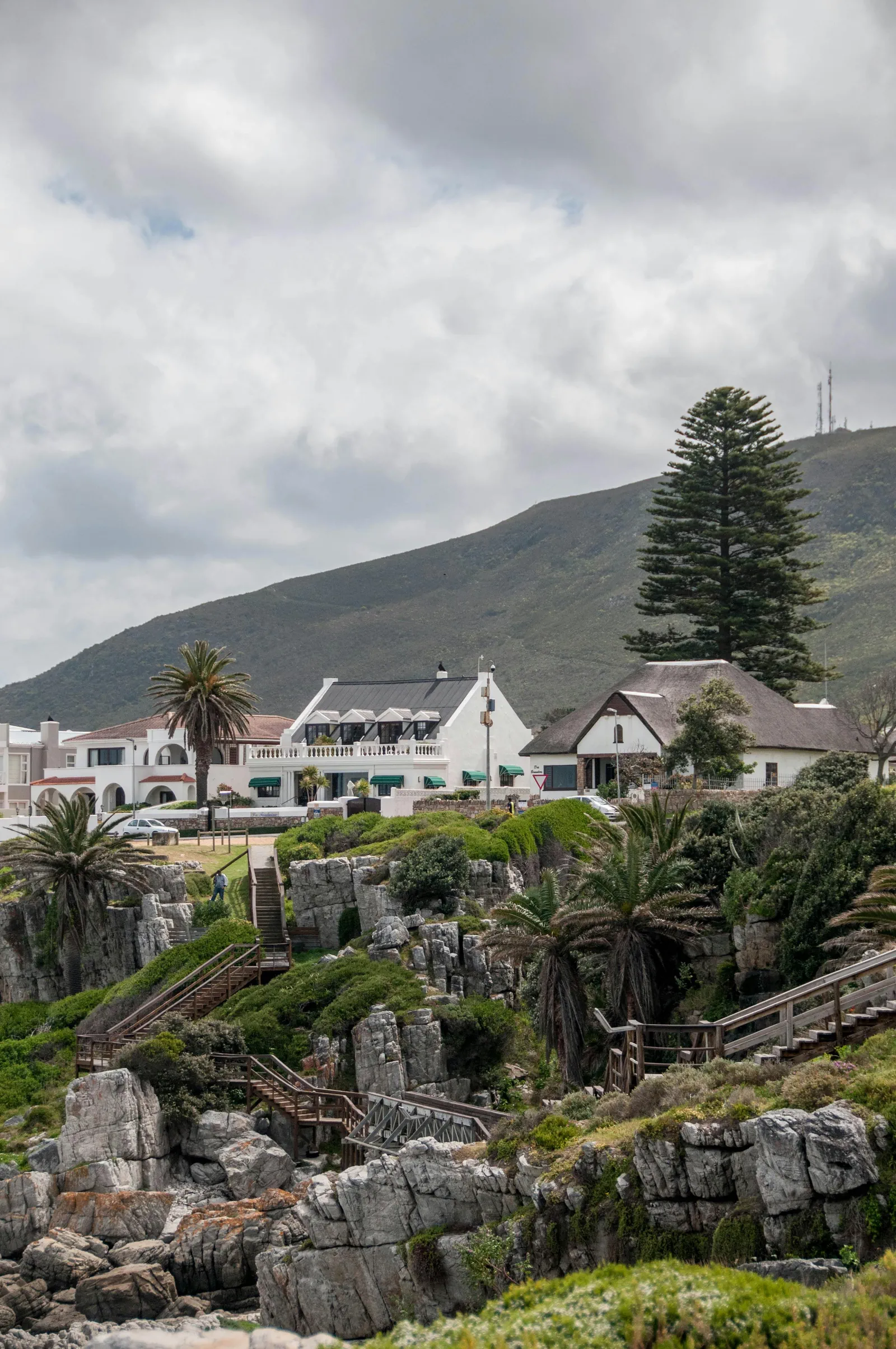 Hermanus Whale Coast