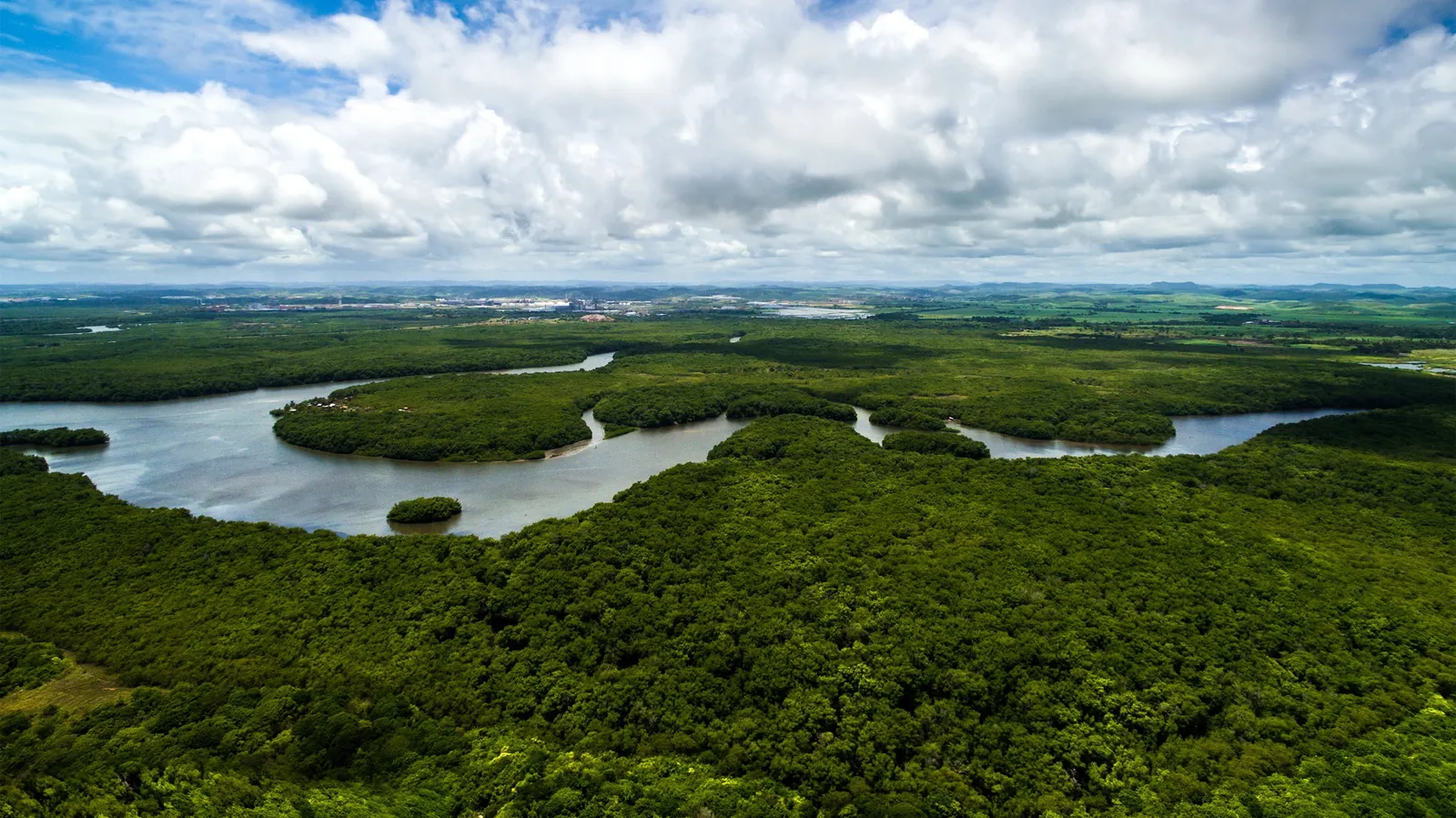 Brazil and Amazon Experience