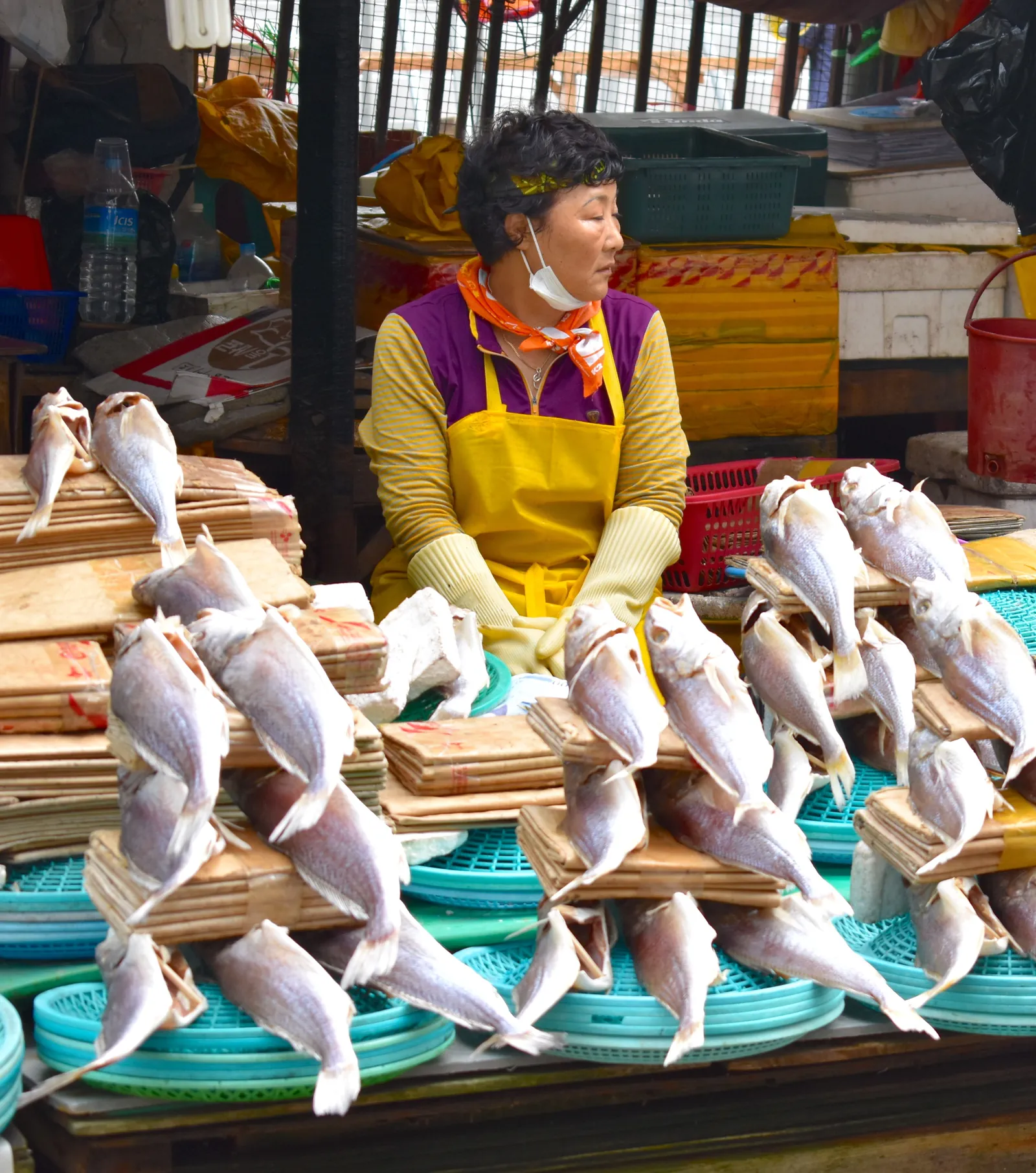 Busan Coastal City Tour