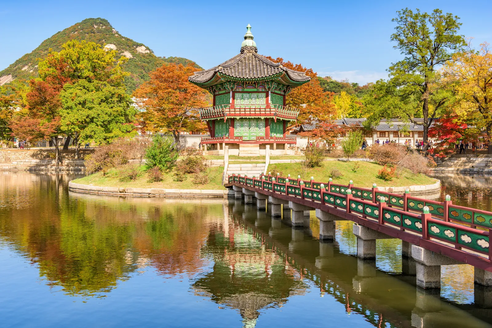 Korea Grand Discovery