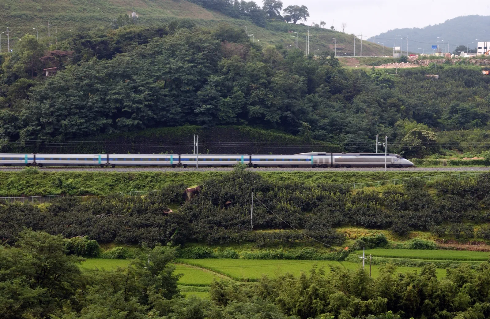 Seoul to Gyeongju by Train
