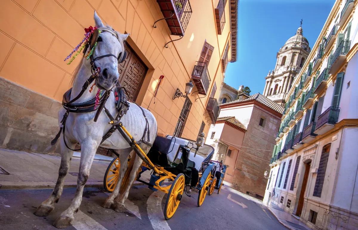 Valencia Old Town & Leisure
