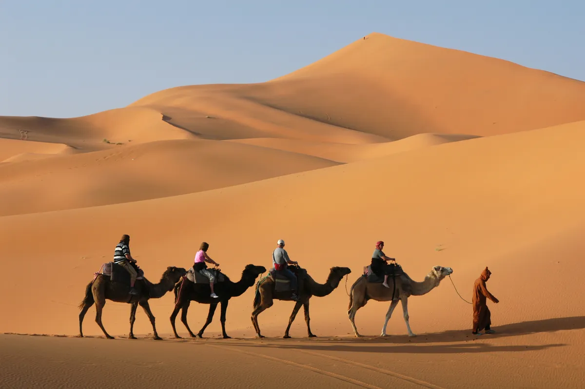 Optional Dubai desert safari